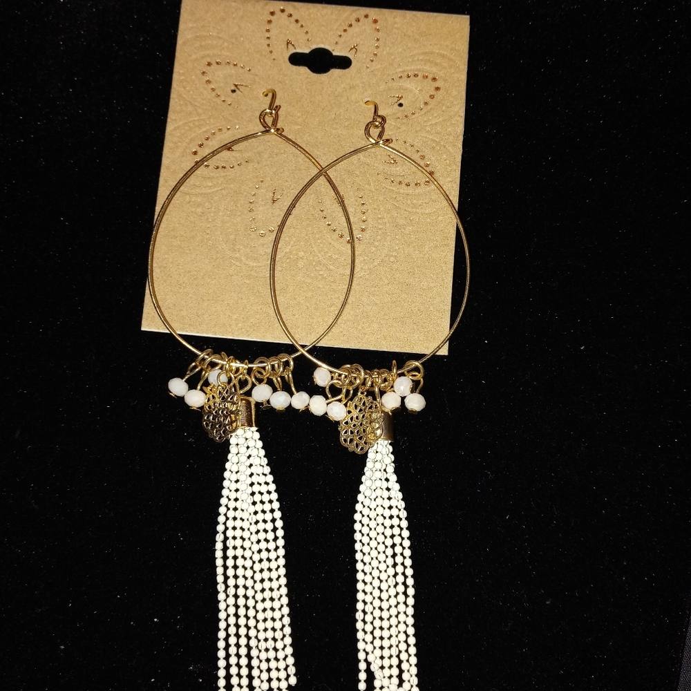 Brown Beauty Earrings